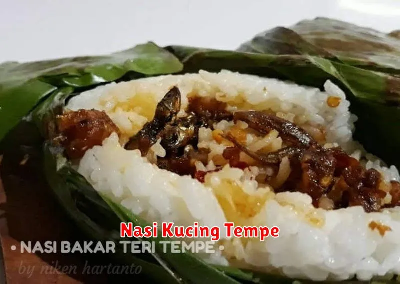 Nasi Kucing Tempe