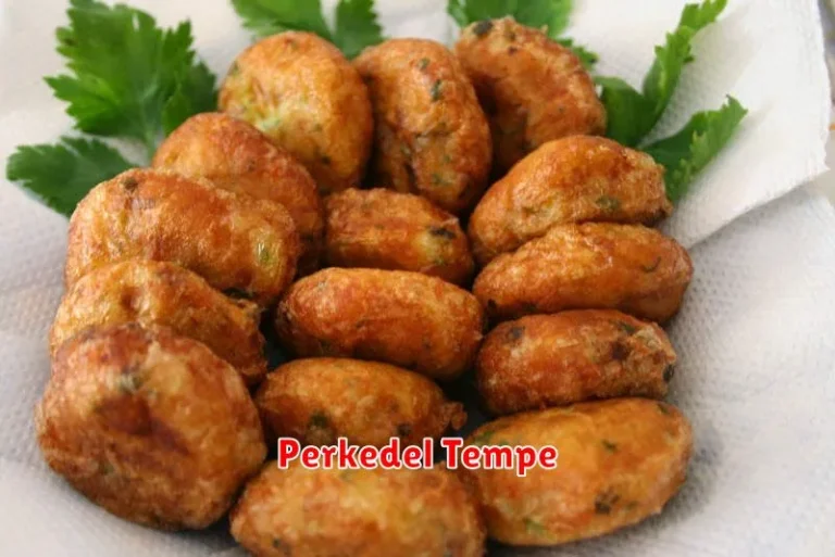 Perkedel Tempe