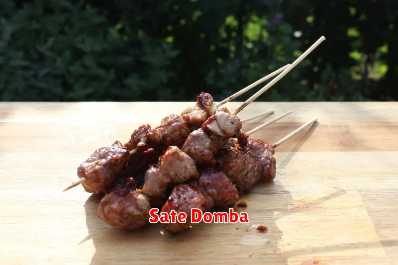 Sate Domba