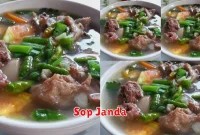 Sop Janda