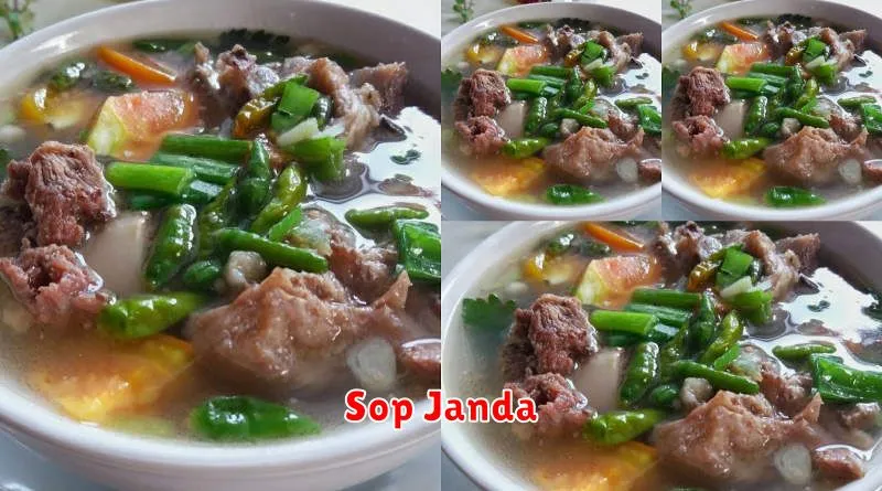 Sop Janda